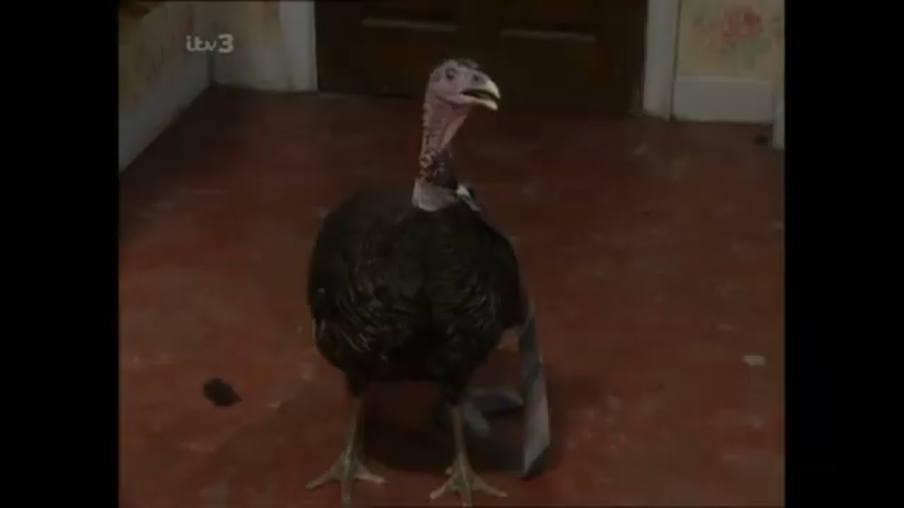 Coronation Street - The Battersby's family Turkey