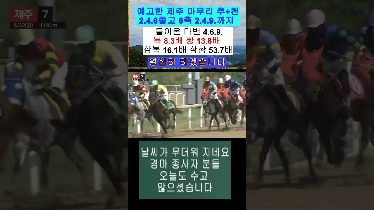 마무리 제주 7경주 추+천 4.6.9.들어오는 영상 보기