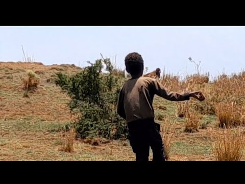 AFRICAN BOY WITH MONKEY JALDEESSAA FI GURBAA QAXALEE 27 June 2025