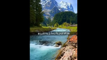 وَقَالُواْ ٱتَّخَذَ ٱلرَّحۡمَٰنُ وَلَدٗاۗ سُبۡحَٰنَهُۥۚ بَلۡ عِبَادٞ مُّكۡرَمُونَ-القارئ أحمد خضر 🌿💚