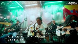 Acoustic Frequency Tape  1  Velocity   Together We Bleed    Performance 
