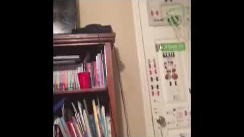Epic mini pro hoop dunks