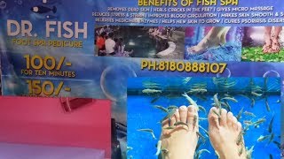 Fish Pedicure |Spa in Hyderabad |Spar Hyper Market|ParadiseMall|Nacharam Review