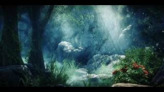 Forest Animation Background