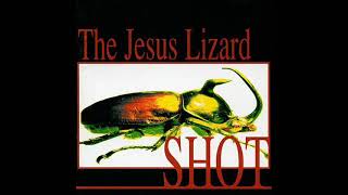 The Jesus Lizard - Now Then