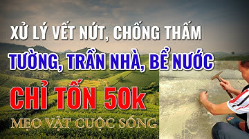 Life Tips | Mẹo Vặt Cuộc Sống - Xử lý vết nứt, chống thấm tường, trần nhà, bể nước - chỉ tốn 50k.