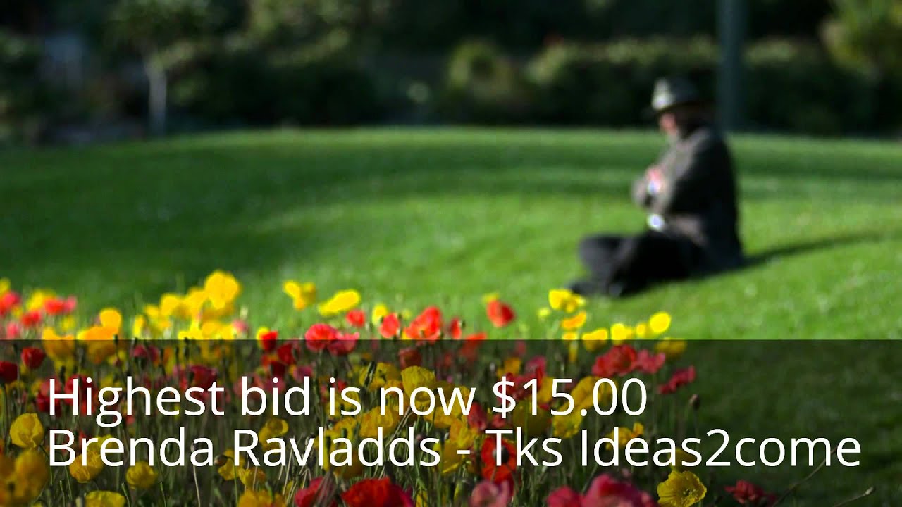 AUCTION FOR SHADOW BOX Ideas2come :-)