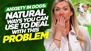 How to Calm an Anxious Dog the NATURAL Way by Zumalka by HomeoAnimal - Helping Pets Naturally  151 views 1 year ago 18 minutes