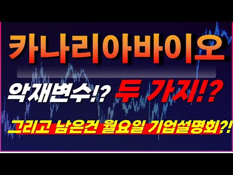   카나리아바이오 주가전망 악재변수 두 가지 그리고 남은건 월요일 기업설명회