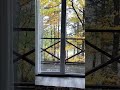 Шикарный вид из окна на турбазе Калининградская область
