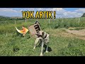 YAVRU KÖPEK BUNU NASIL YAPABİLİR ?! - OĞLUMLA BAHÇEDE Kİ KÖPEKLERE SU VERDİK