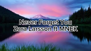 Zara Larsson,MNKE - never forget you (lyrics)