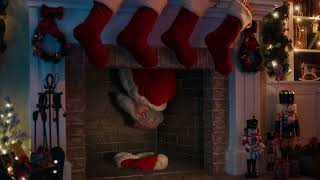 Greenies Dental Treats - Holidays-"Stuck"