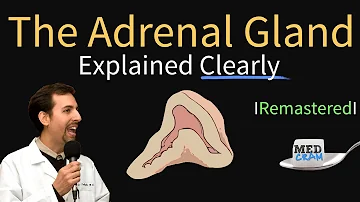 What are the symptoms of adrenal gland problems?