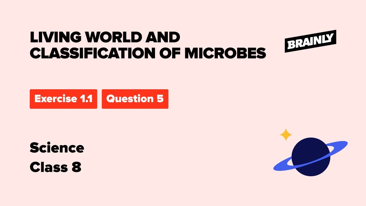 Which living organisms are included in the kingdom monera ?. Class 8  Science, Ch-1, Ex-1.1, Q-5 - YouTube