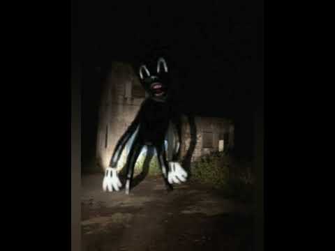 Cartoon Cat Dog With Music 