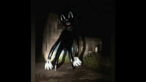 Cartoon Cat & Cartoon Dog (with cartoon cat music)