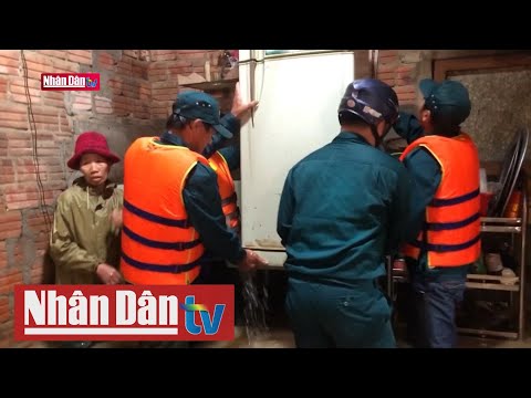 Video Sơ tán gần 800 hộ dân Đức Phổ bị ngập sâu trong lũ - youtube