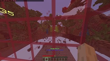 Minerware Hacker (Cubecraft Games)