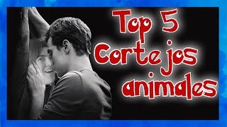 Top 5 Cortejos Animales