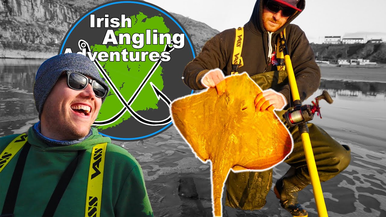 PAINTED RAY | Winter Fishing with Irish Angling Adventures - YouTube