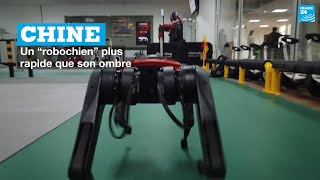 Un “robochien” chinois plus rapide que son ombre