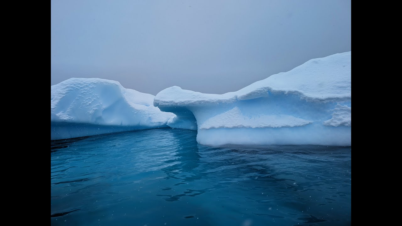 Antarctica, Days 4 to 6 on World Navigator, part 3 縮圖