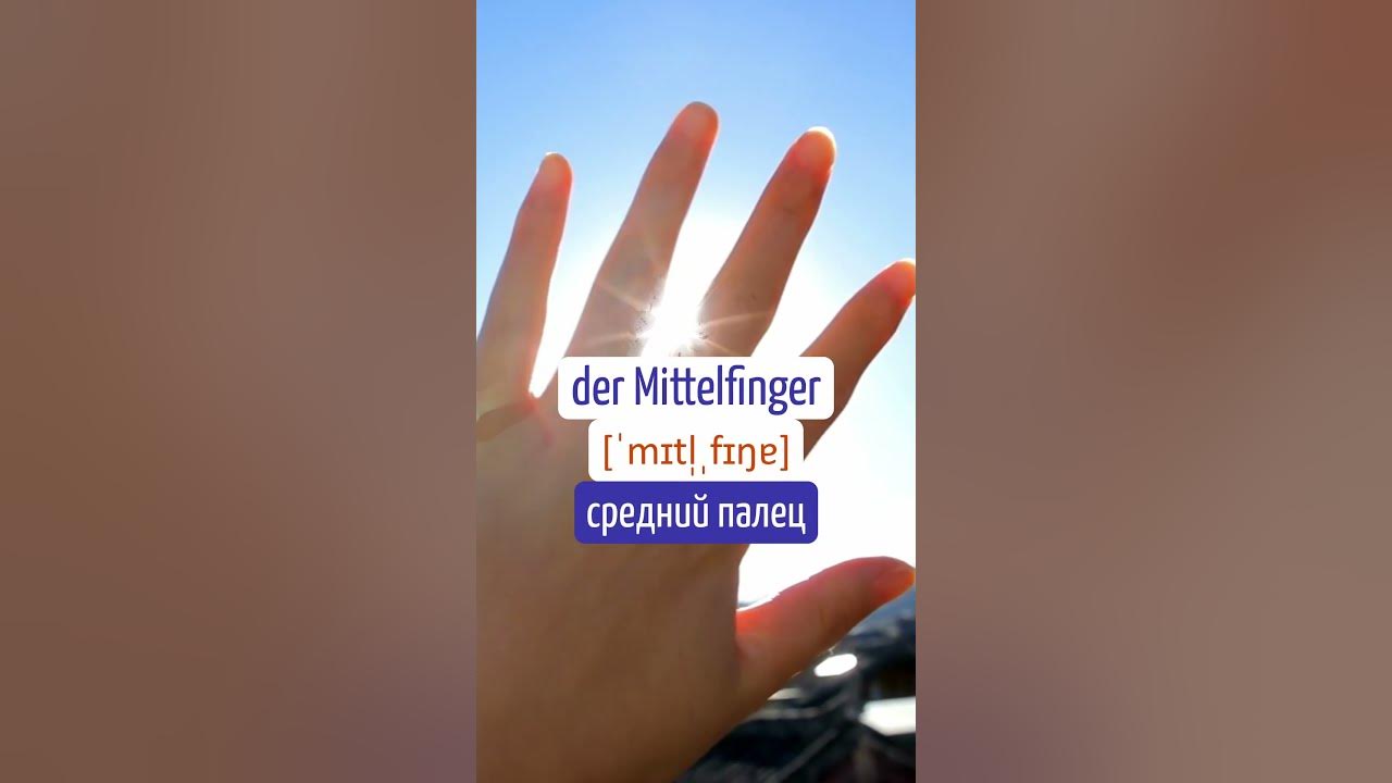 Как называются пальцы на немецком языке? 🇩🇪 - YouTube