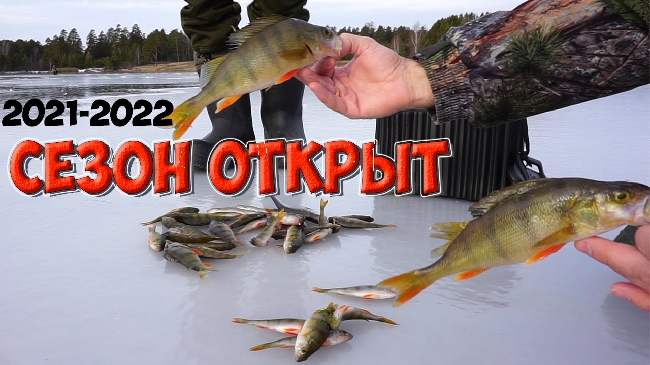 Новая Рыбалка 2022 Года