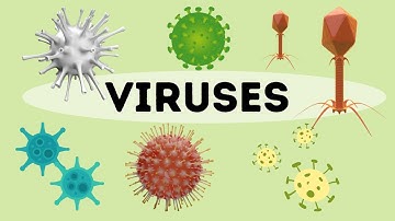 What is a virus?- An Introduction
