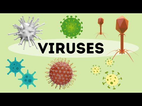 Video: Kāda ir virucīda definīcija?
