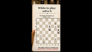 Mate in 3 Position 47
