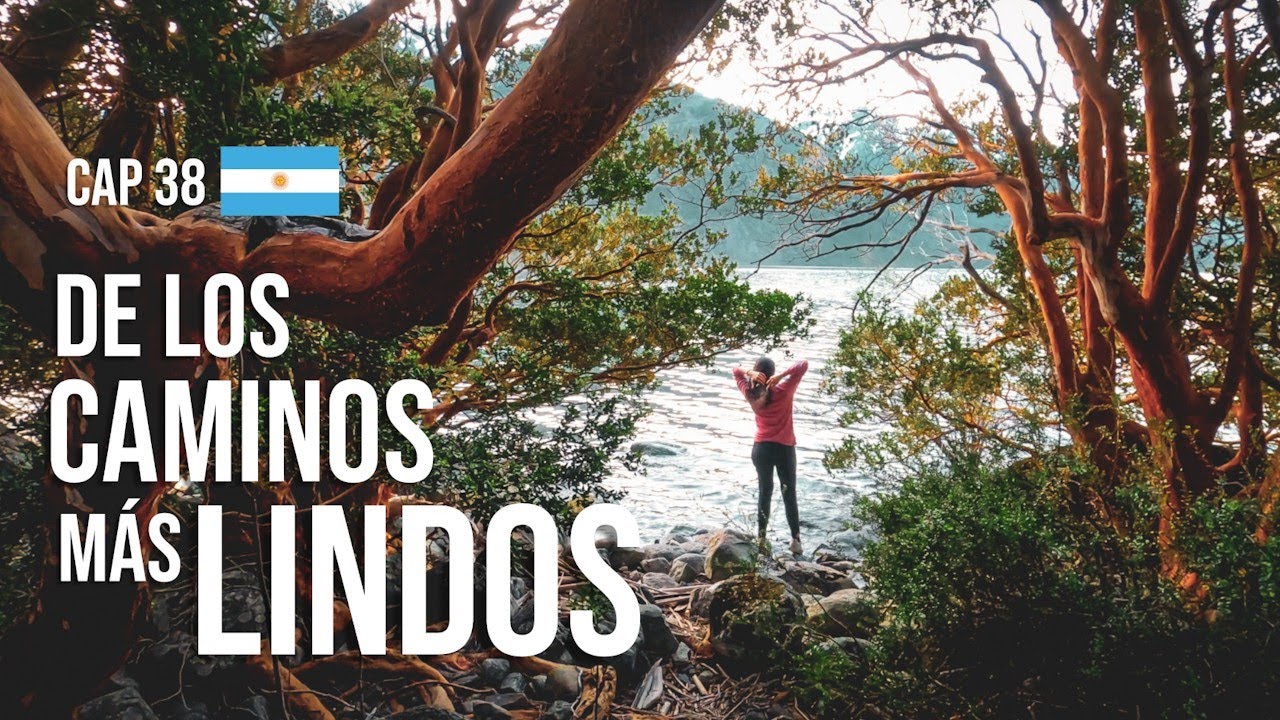 Cap. 38 🧐 El otro 