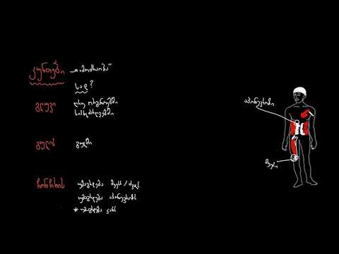 კუნთების სამი სახე