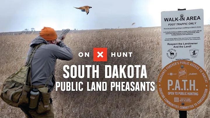 Pheasant Hunting: South Dakota’s Best Public Lands | onX Hunt