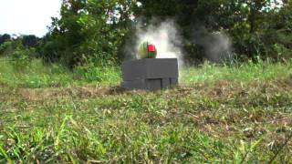 Tannerite (1/2 pound) implanted in a water mellon (W/Slow Motion)