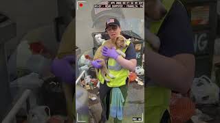 Dog Rescue from Dumpster on CCTV! Starving Puppy Saved by Animal Control in Franklin PA – April 2026