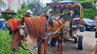 KUDA I KUDA DELMAN PURI GADING DAN PAKANSARI - LAGU NAIK DELMAN ISTIMEWA DAN DUA MATA SAYA REMIX