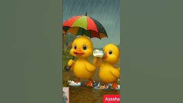 Quacking Around Cute Duck Moments #duck #duckrescue #duckling #shortsfeed #shortvideo #shorts