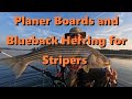 Planer boards and blueback herring for stripers