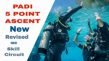 5 Point Ascent Scuba 👍 New Revised PADI IDC Skills Circuit • Divemaster Skills
