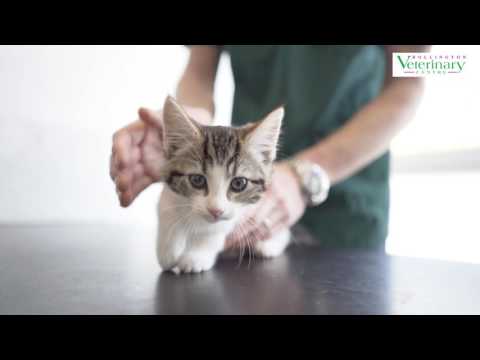 Bollington Veterinary Centre