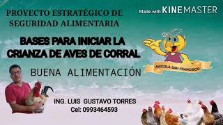 ALIMENTACIÓN PARA LAS AVES DE CORRAL