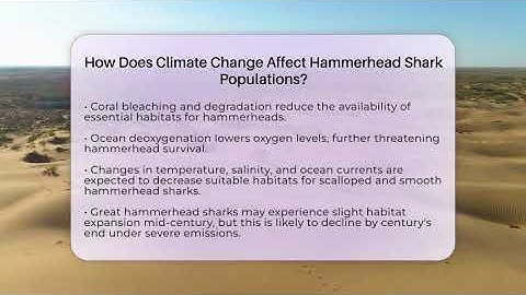How Does Climate Change Affect Hammerhead Shark Populations? - Ecosystem Essentials