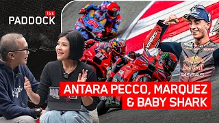 ANTARA PECCO, MARQUEZ & BABY SHARK #portuguesegp