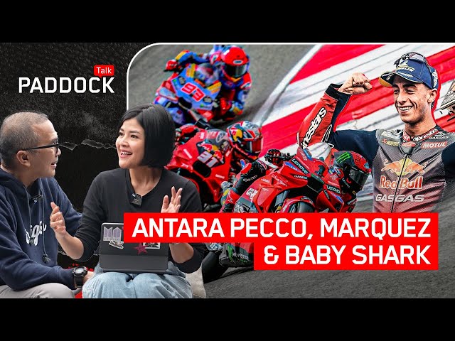 ANTARA PECCO, MARQUEZ & BABY SHARK #portuguesegp class=