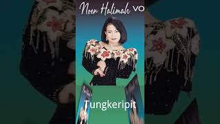 Tungkeripit #dangdut #tungkeripit #rhomairama #noerhalimah #jadulmantul #musik