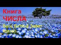 ЧИСЛА. Весь Ветхий Завет кратко