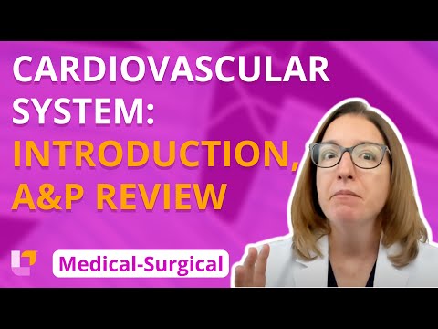 Cardiovascular System: Introduction, Anatomy & Physiology Review - Medical-Surgical - @Level Up RN