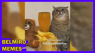 Belmiro Memes: Dublagens de animais engraçados - Episódio 137